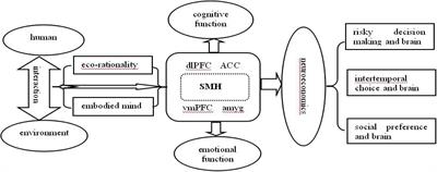 Bridging Ecological Rationality, Embodied Emotion, and Neuroeconomics: Insights From the Somatic Marker Hypothesis